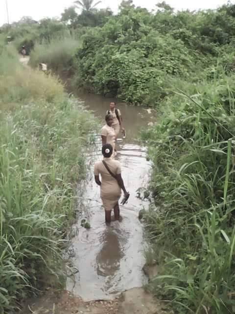 Chale "Nurses have been over pampered in this country" The nurses: